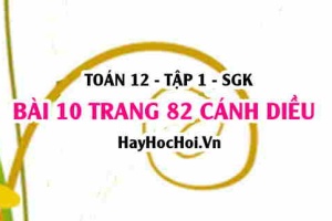 Bài 10 trang 82 Toán 12 tập 1 Cánh Diều